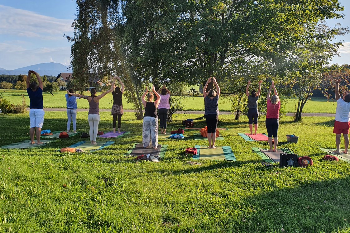 Yoga: Yoga Vidya Seekirchen 