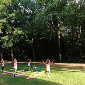 Yoga: Bei schönem Wetter genießen wir unsere Yogaeinheiten ungestört und mit Vogelgezwitscher, inmitten der schönen Parthenaue. - Yoga Zauber Leipzig