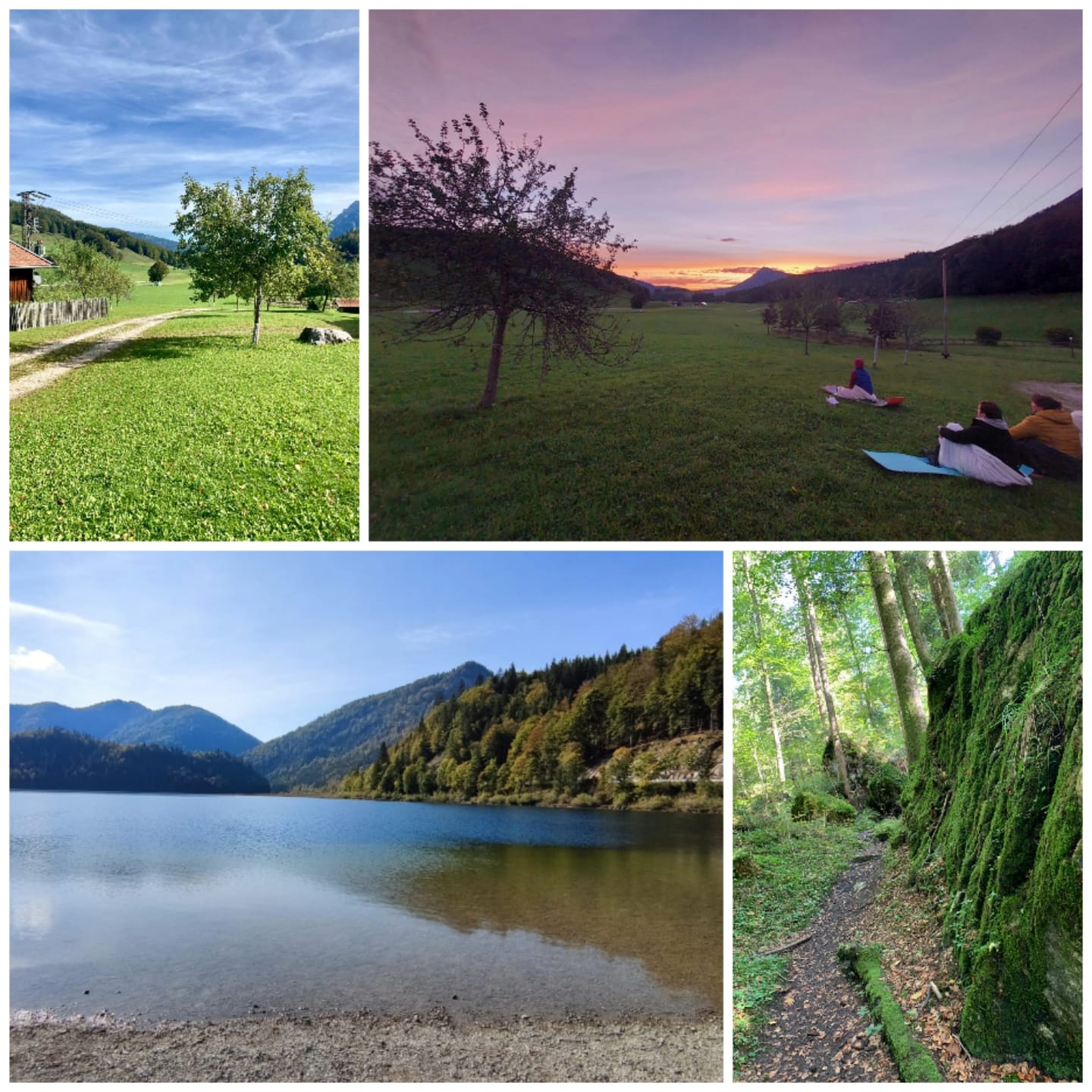 Yoga Retreat: Yoga Retreat "Die Kraft des Frühlings"