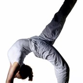Yogakurs - Asana exakt Yogalehrer/in Ausbildung